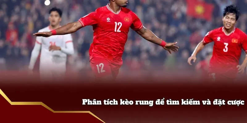 Phân tích kèo rung để tìm kiếm và đặt cược